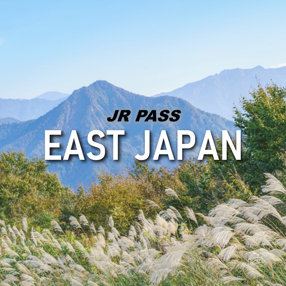 JR 동일본 패스