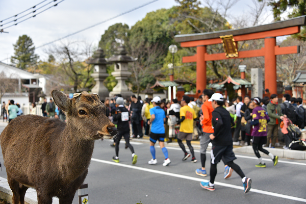 /uploadfo/image/goods/main/30008026/lottejtb_cm9900_30001963.png